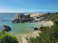 The African Penguins at Boulders Beach