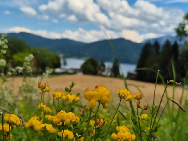 Attersee ทะเลสาบน้ำใส มีภูเขาล้อมรอบ 🌤✨️ Attersee ทะเลสาบน้ำใส มีภูเขาล้อมรอบ 🌤✨️