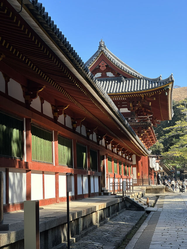 Nara’s ancient vibes meet jaw-dropping temples