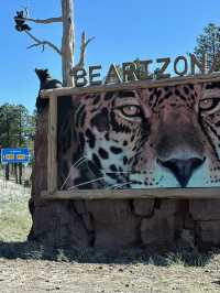 Hit the road in Arizona with this Williams Route 66 adventure