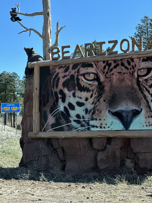 Hit the road in Arizona with this Williams Route 66 adventure Hit the road in Arizona with this Williams Route 66 adventure