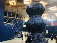 Eden Project Smokey Room…