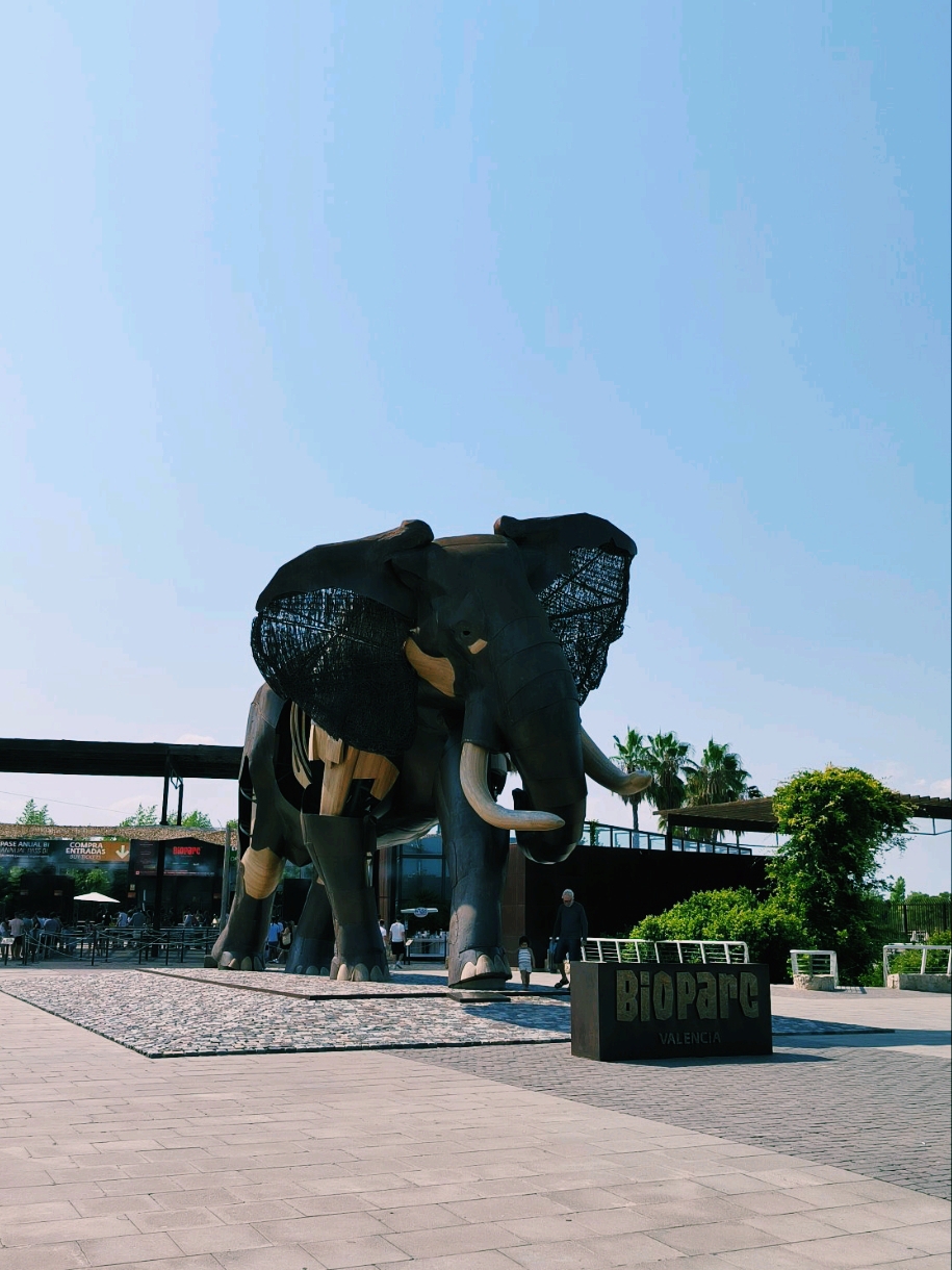 🌿 Почему Биопарк Валенсии — один из самых особенных зоопарков в мире 🐘🦓🦩