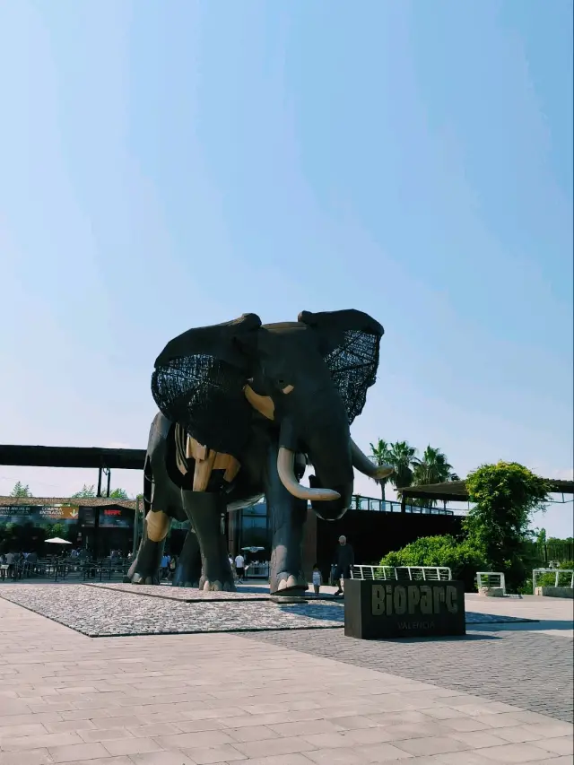 🌿 Why Bioparc Valencia Is One of the Most Special Zoos in the World 🐘🦓🦩