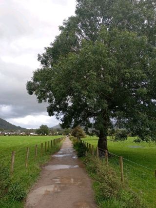 德文特湖 凱西克 坎布里亞郡