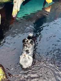 🌊 里斯本海洋博物館遊記