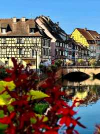 Colmar, France — A Fairytale in Alsace 🏘🪻