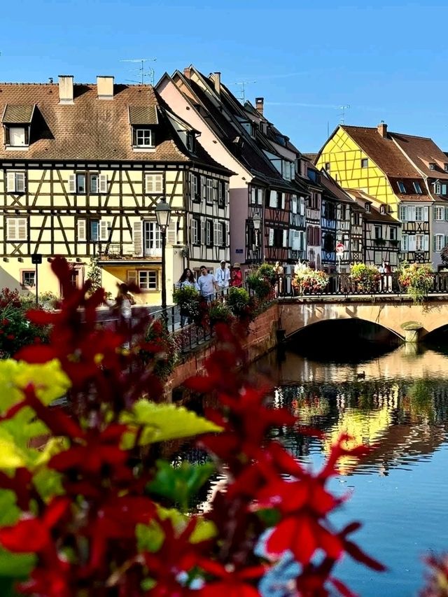 Colmar, France — A Fairytale in Alsace 🏘🪻