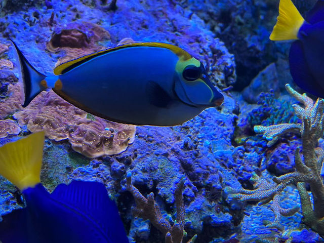 Wonders of Nature — A Day at Naturkundemuseum Karlsruhe 🇩🇪  