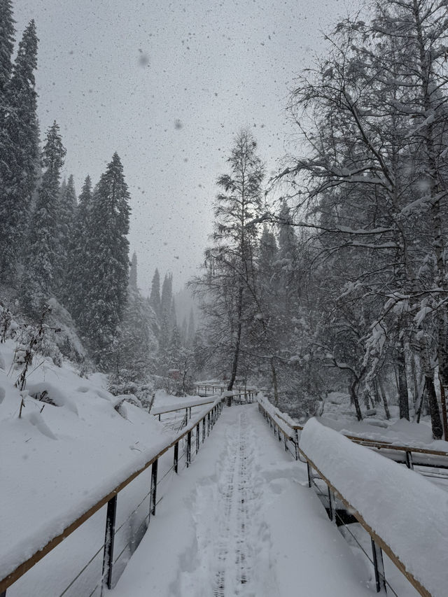 Горячие источники Алмарасан