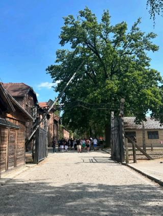 奧斯威辛-比克瑙：納粹最大死亡工廠 (1940–1945)