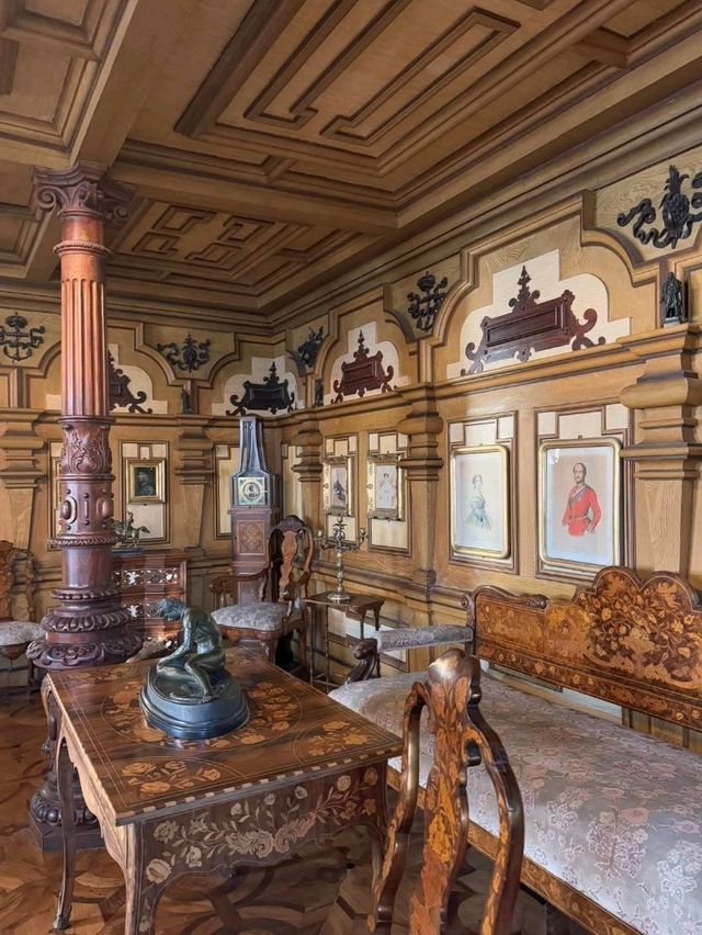 Sunlit Waterside🌊 Sunlit Waterside🌊