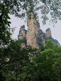 Как Увидеть парк Аватар без толп!