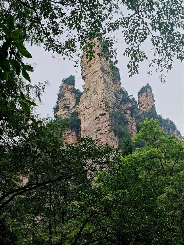 Как Увидеть парк Аватар без толп!