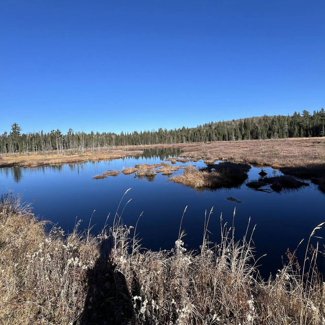 Algonquin Provincial Park Algonquin Provincial Park