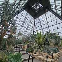 Muttart Conservatory