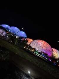 A magical introduction to a world of Christmas lights 🎄✨