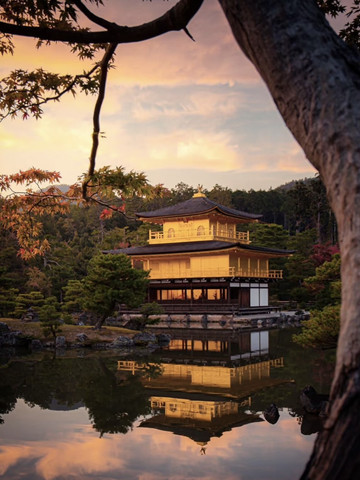京都北山に輝く金閣寺。 | Trip.com 京都