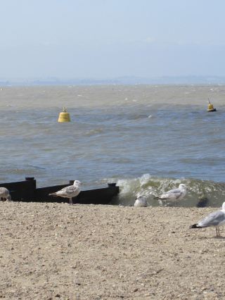 Whitstable: A seaside town about 1.5 hours from London.