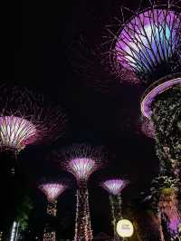 Garden’s by the Bay | Singapore