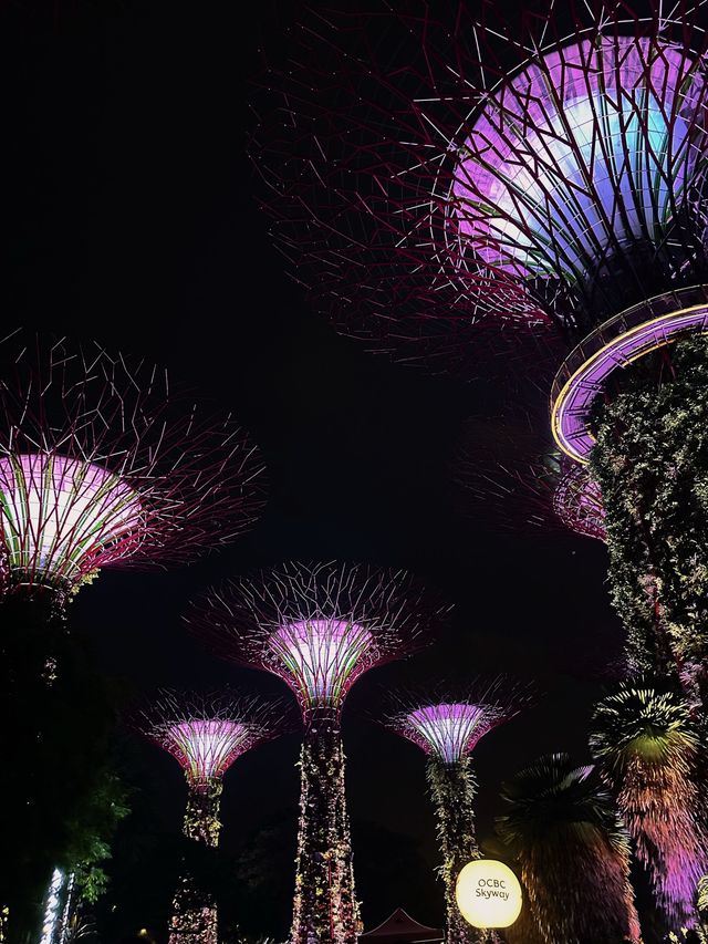Garden’s by the Bay | Singapore