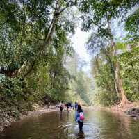 Xishuangbanna, Thailand of China 