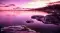 VoyagerVistas