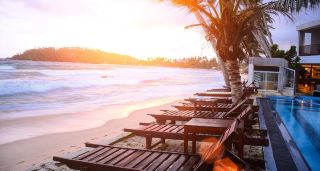 스리랑카를 탐험하는 8일간의 여행, 고전적인 여행 팁과 흔한 여행에서 벗어나는 경험을 모두 공개합니다!