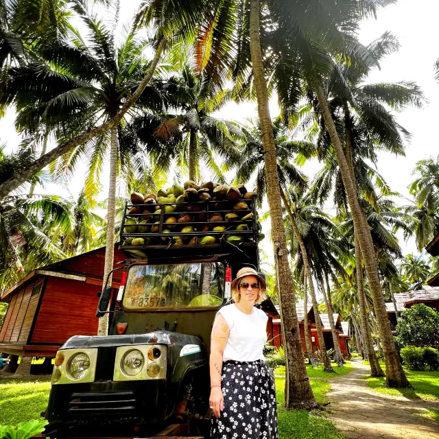 Coconut Forest 🌴 
