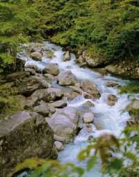 Shennong Valley National Forest Park