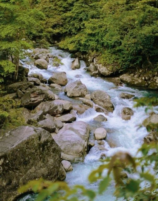 Shennong Valley National Forest Park