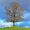 StellarHorizon78901