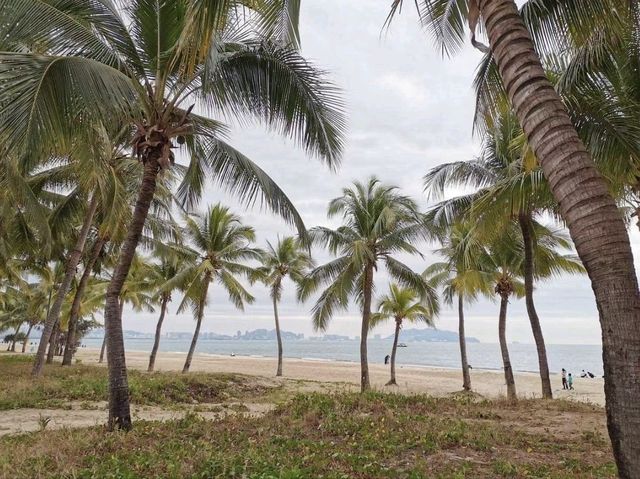 A Nice Walk Along Sanya Bay🇨🇳