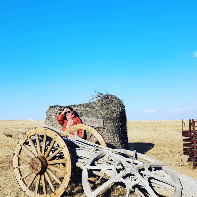 Serenity in Grasslands