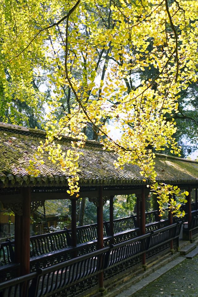 黔東南週末出行放空