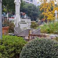 Warm Culinary Haven at Mama Kelly