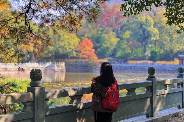 帶上媽媽尋秋色-寧波阿育王寺