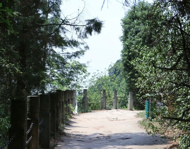 冬日好去處：成都金堂龍脊古道