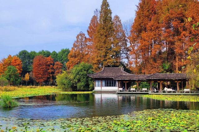 秋日杭城賞景記（2）