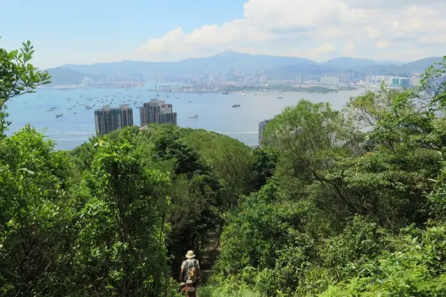 龍虎山鑑賞砲台．山頂徒歩至香港大学