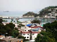 Lamma is Fabulous!