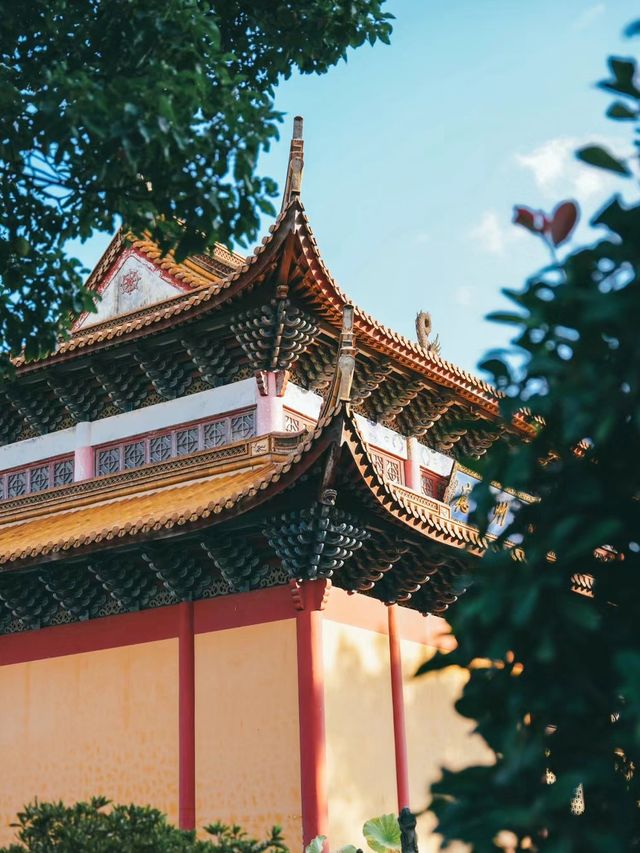 黃牆黃瓦，仿佛一秒到達京城的寧波絕美寺廟對寺廟!
