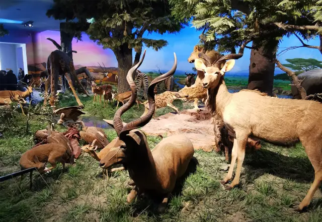 นำลูกเข้าสู่พิพิธภัณฑ์ในกรุงปักกิ่ง - รู้จักกับที่มาของชีวิต