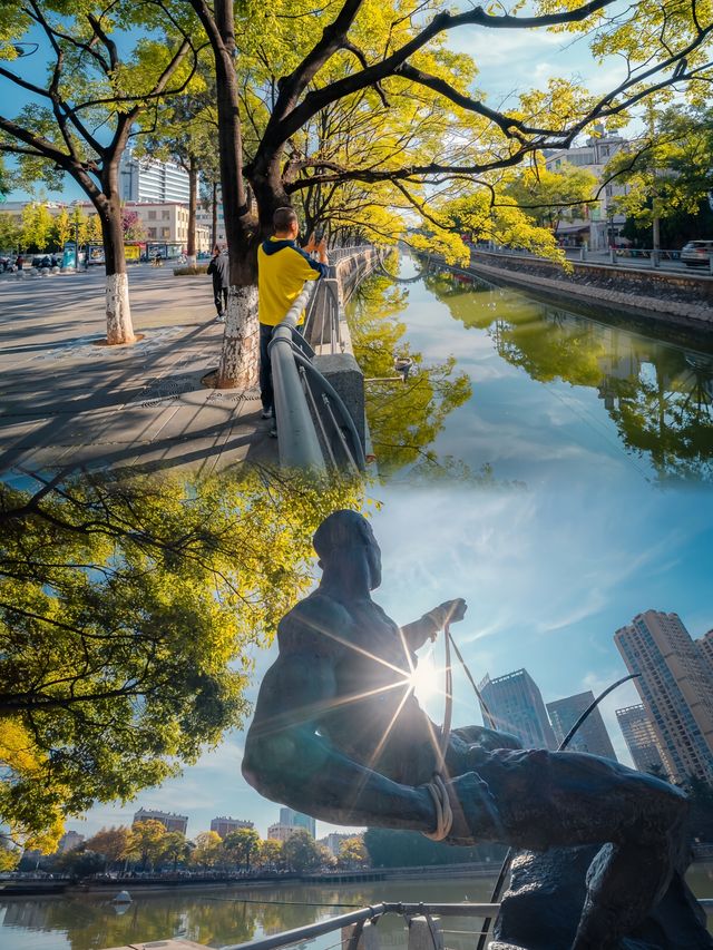 又見大觀河滇樸 又見大觀河滇樸