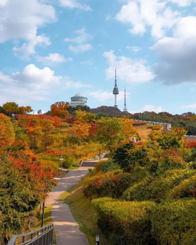 🍁🏰 남산타워 성곽길에서 가을의 화려한 색채를 만나보세요! 🍂🚦