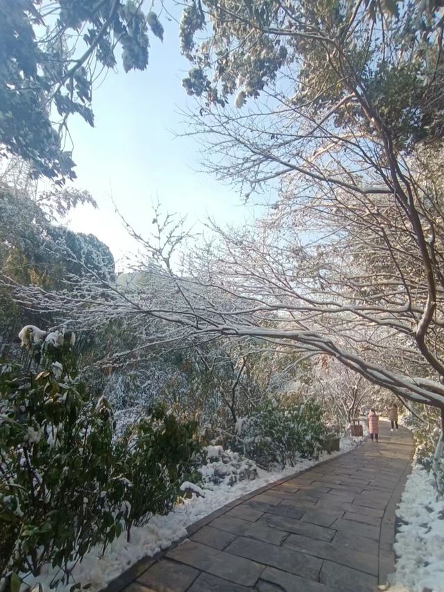 江蘇無錫宜興竹海—歲末聽雪落，浮世有清歡