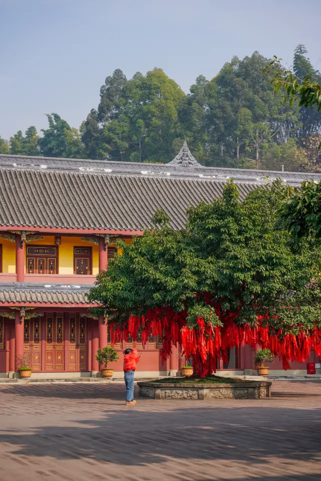 Chengdu Surrounding Tour | Visited a grand and magnificent temple!