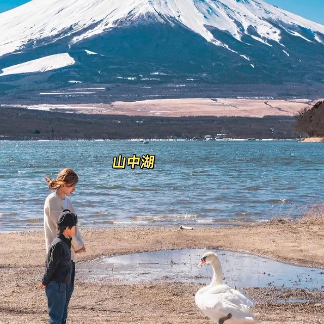  日本富士山｜終於搵齊❤️17個打卡影相📷