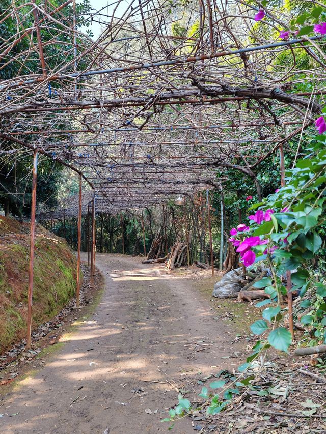 福建行6 福建行6