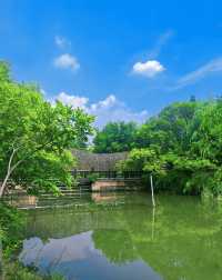 這個公園也太哇噻了，我的秘密基地思賢公園